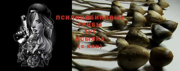 ПСИЛОЦИБИНОВЫЕ ГРИБЫ Алзамай