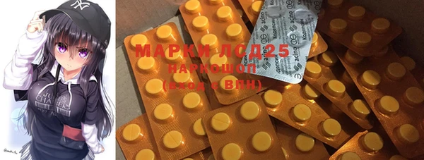 ПСИЛОЦИБИНОВЫЕ ГРИБЫ Алзамай