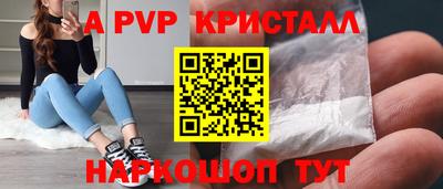a pvp Кингисепп