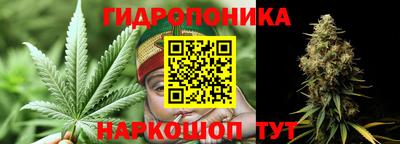 спиды Кинель