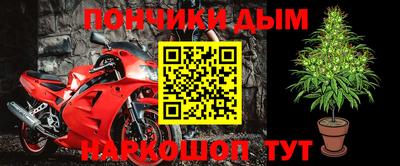 a pvp Кингисепп