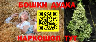 a pvp Кингисепп