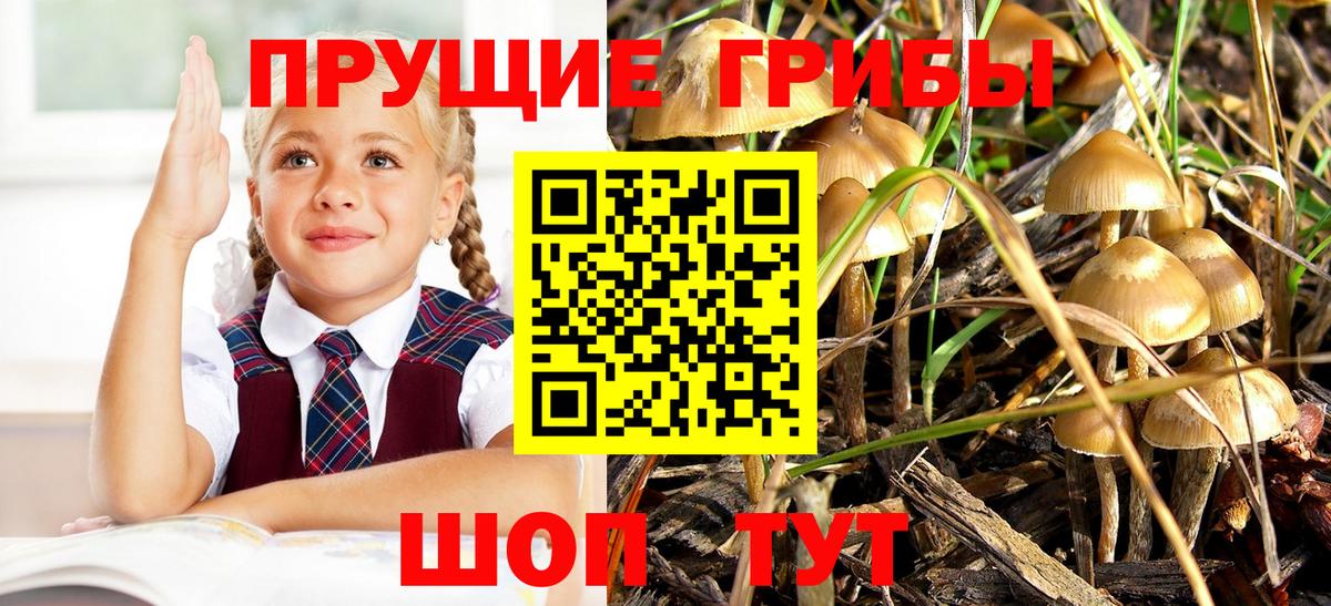магазин    Вход с VPN  Находка  Псилоцибиновые грибы MAGIC MUSHROOMS 