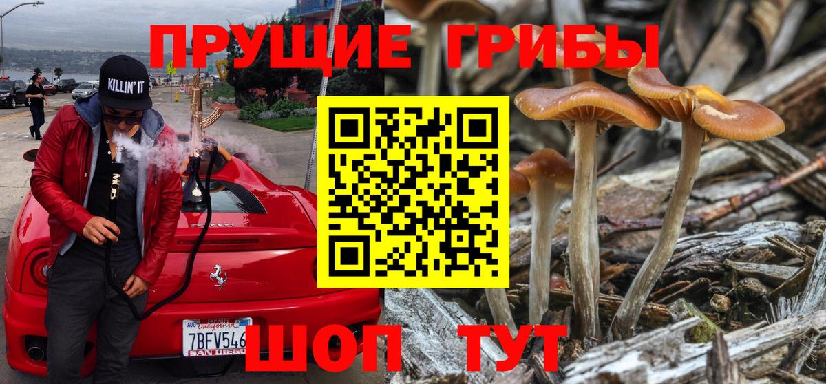 Псилоцибиновые грибы MAGIC MUSHROOMS Находка